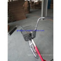 24" Russian Style Hi Ten Steel Cheap China Folding Foldable Bike